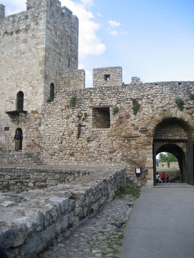 Main image