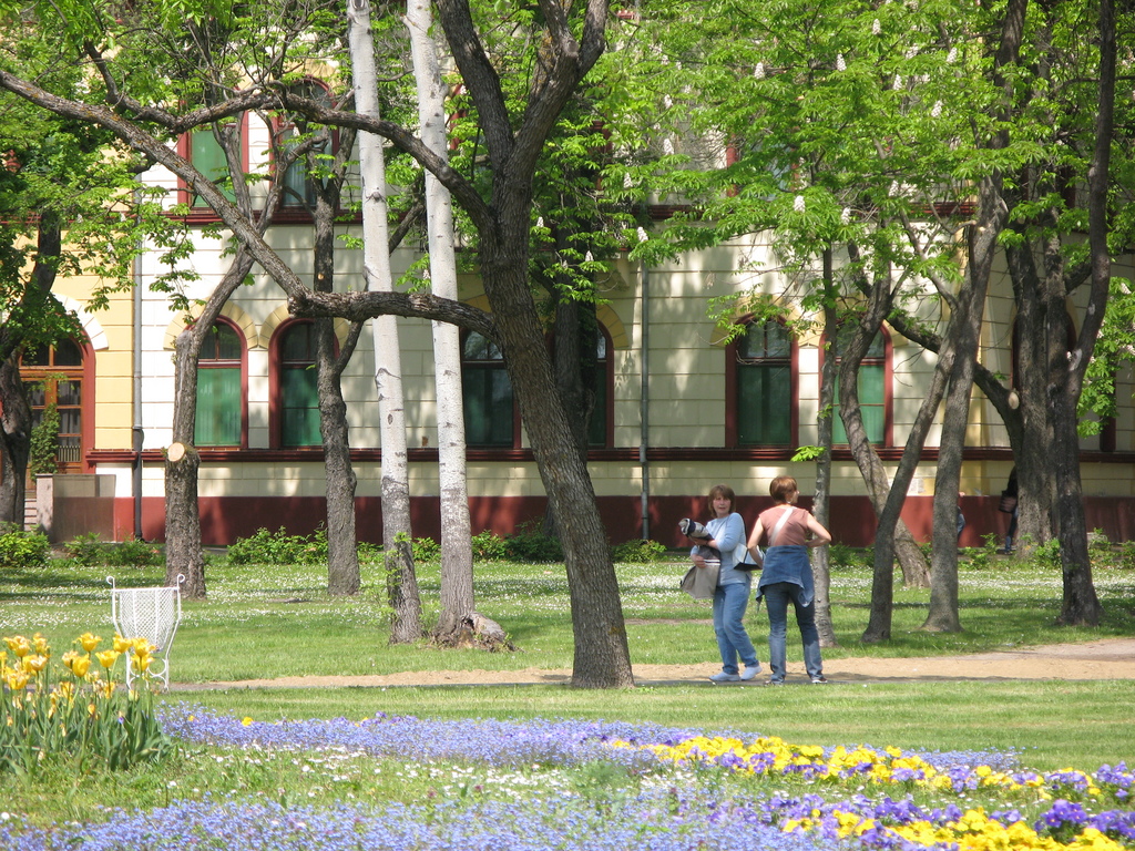 Main image