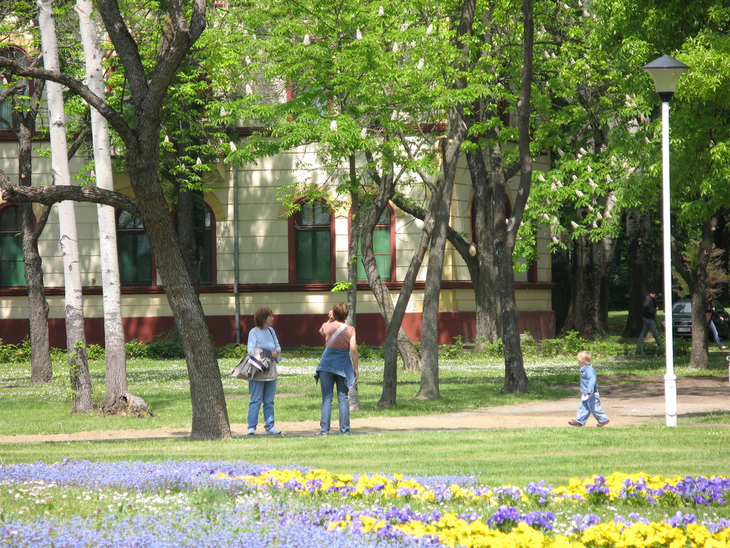 Main image