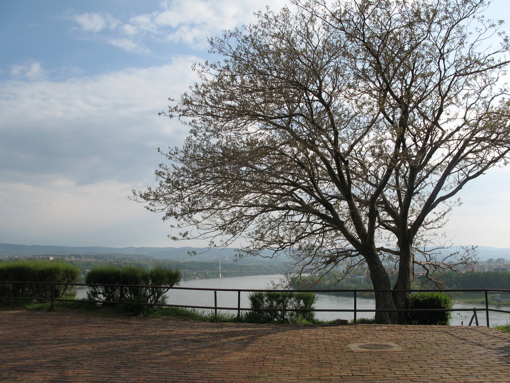 Main image