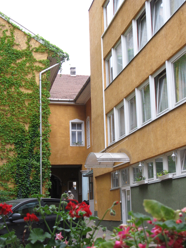 Main image
