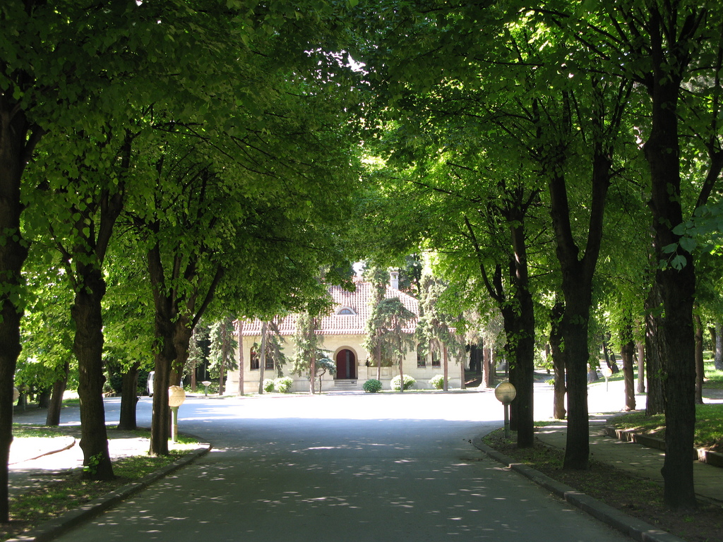 Main image