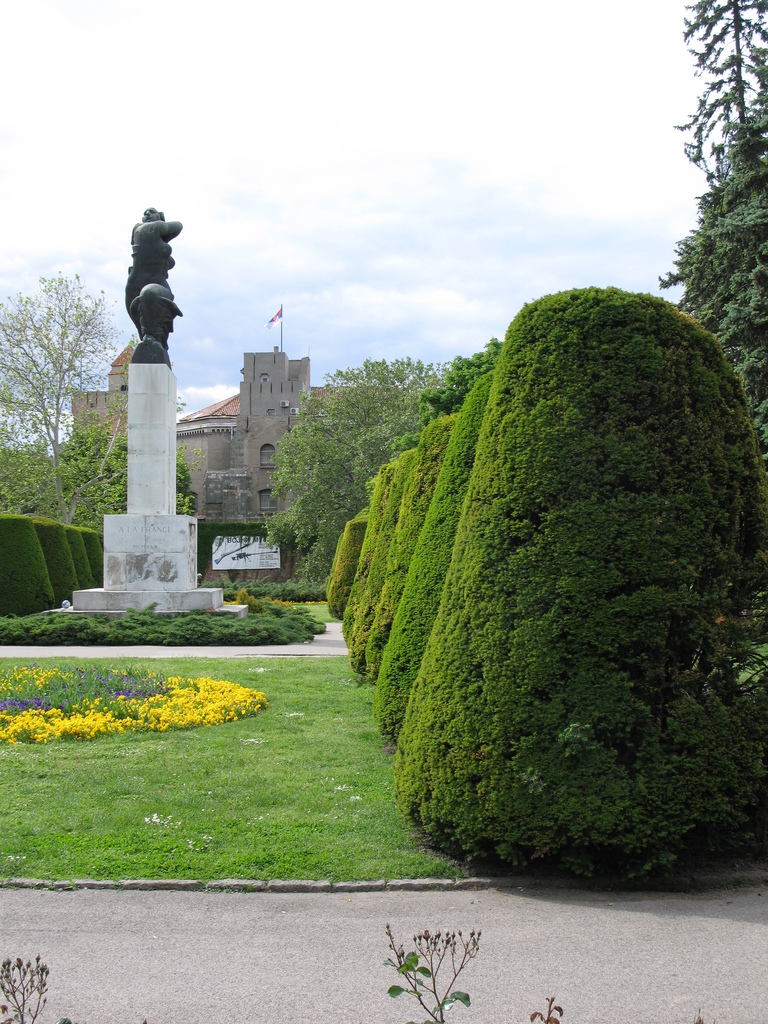 Main image