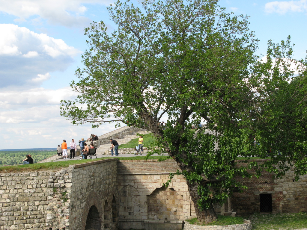 Main image
