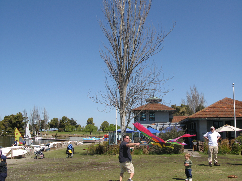 Main image
