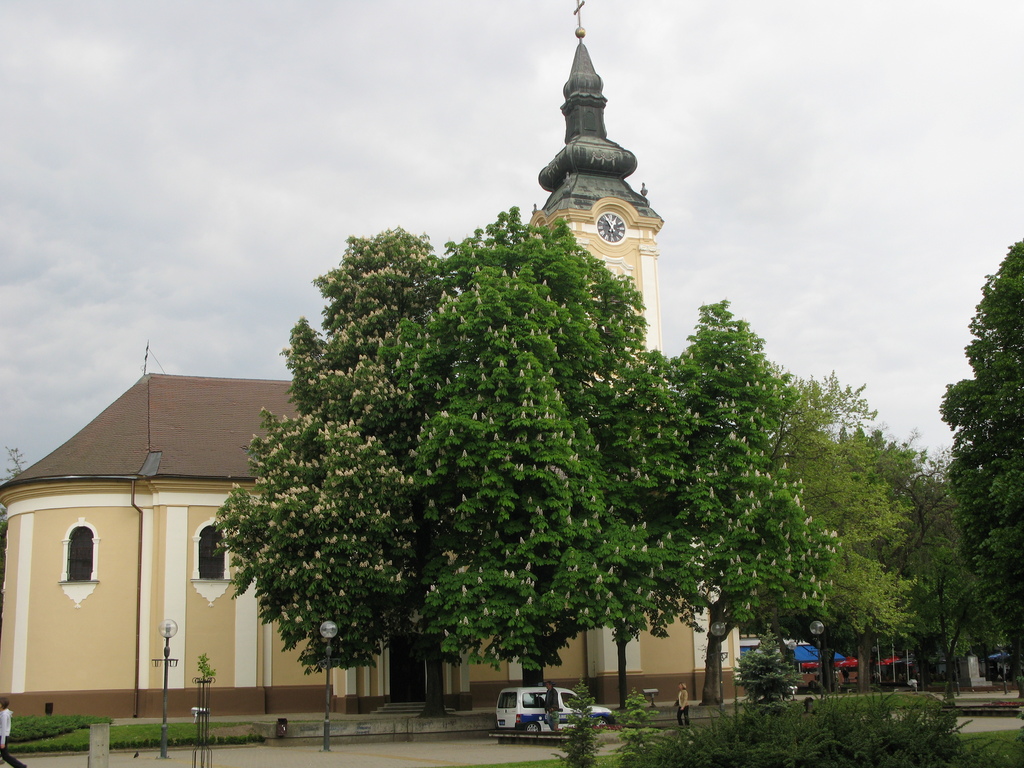 Main image