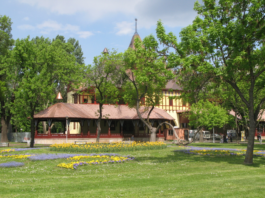 Main image
