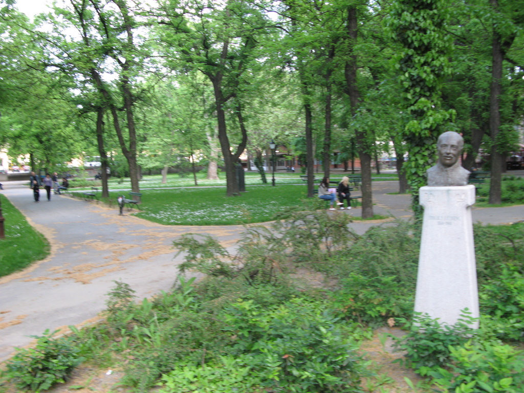 Main image