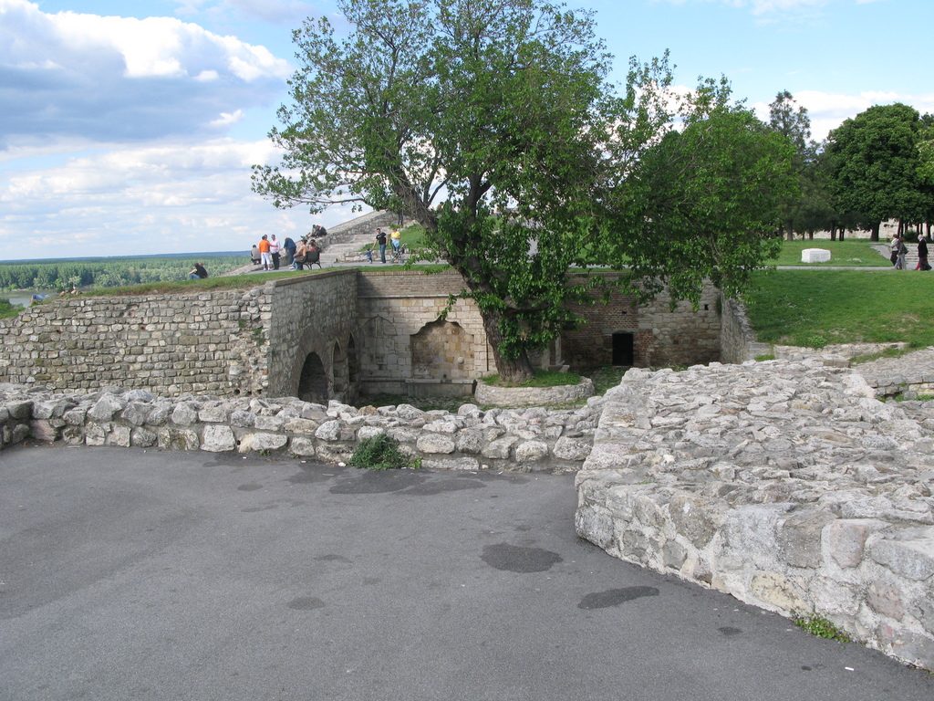 Main image