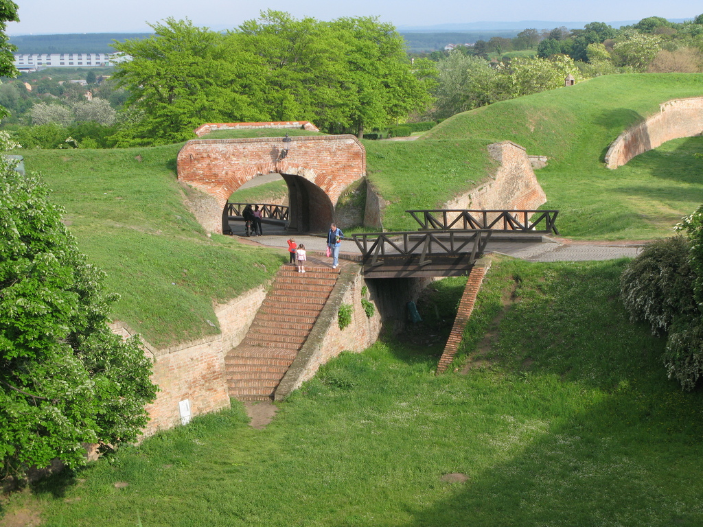 Main image