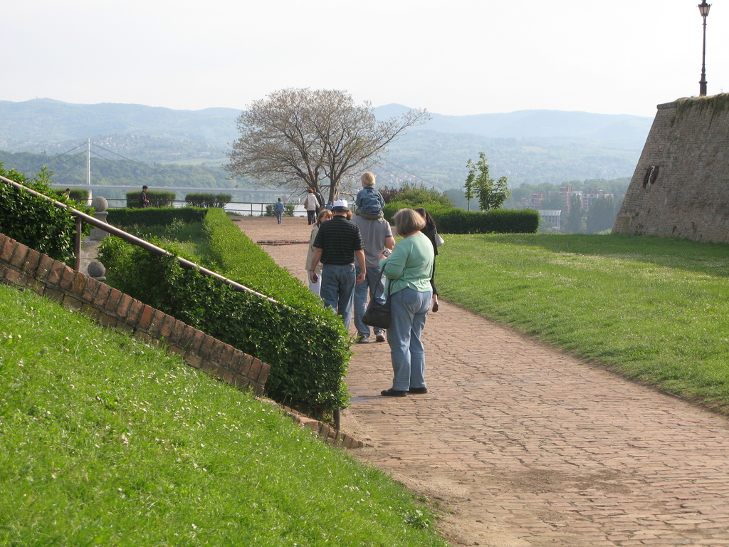 Main image
