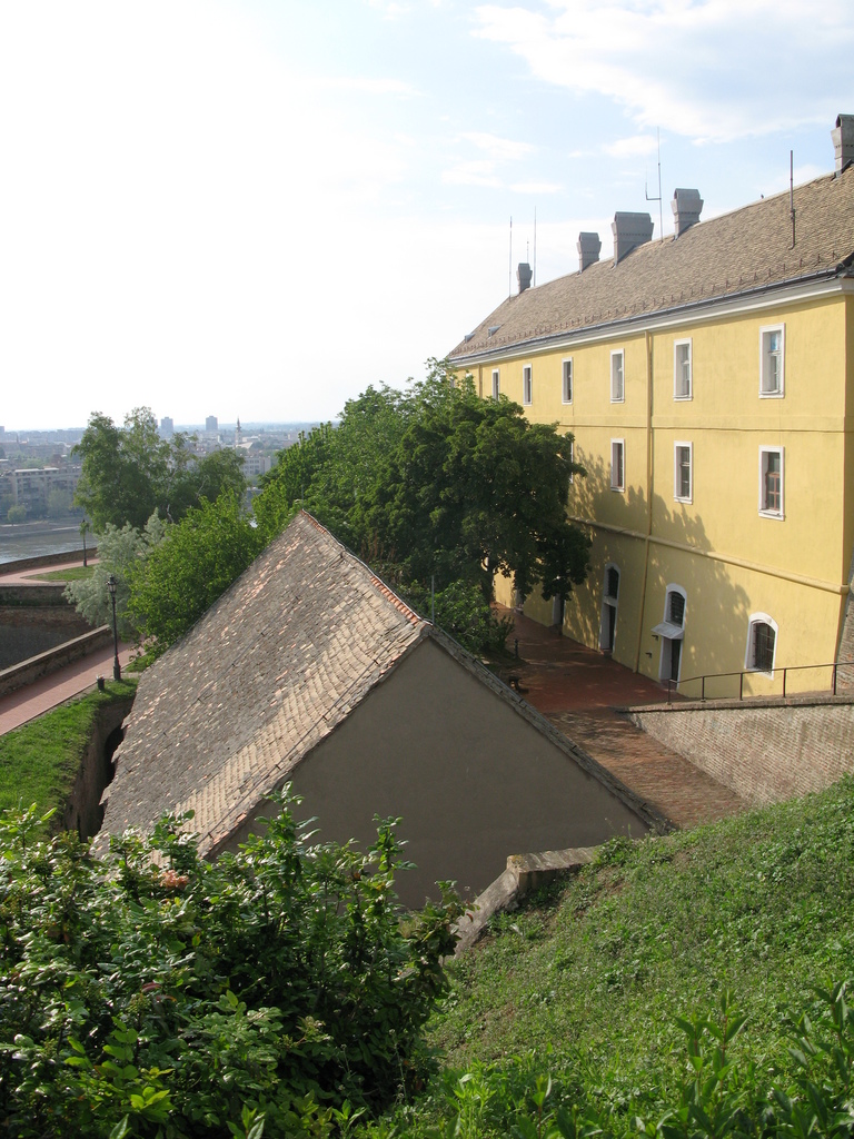 Main image