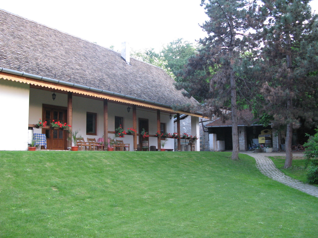 Main image