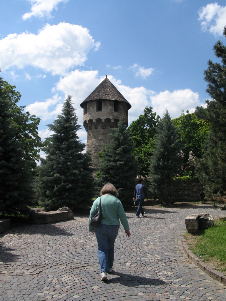 Main image