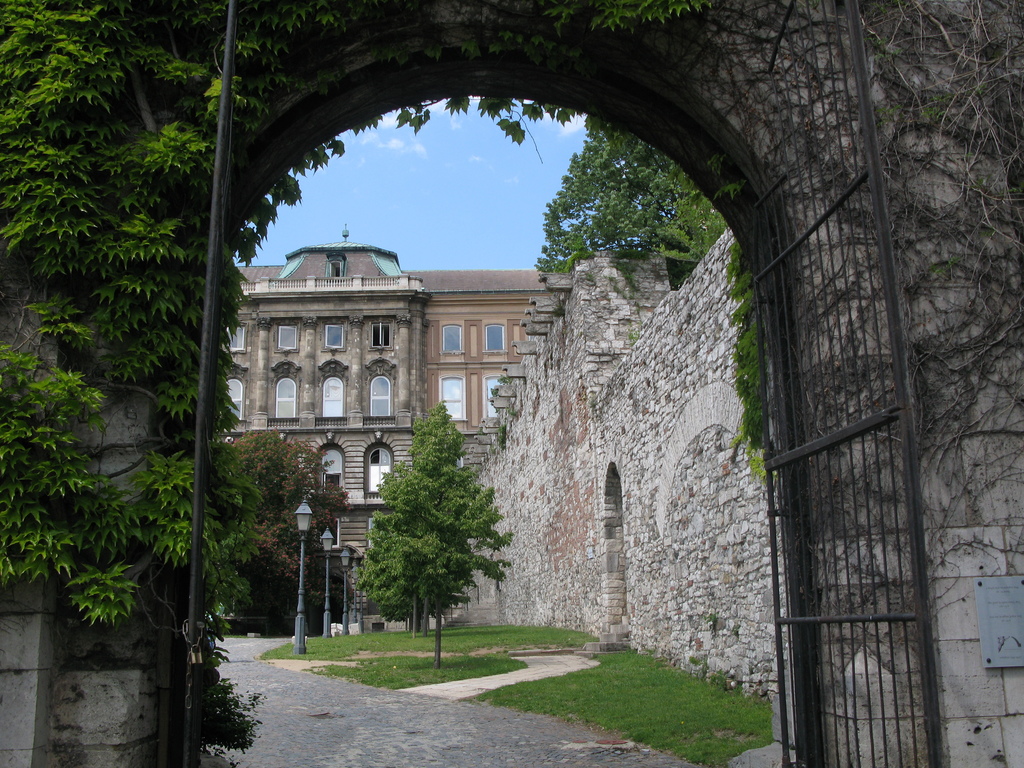 Main image