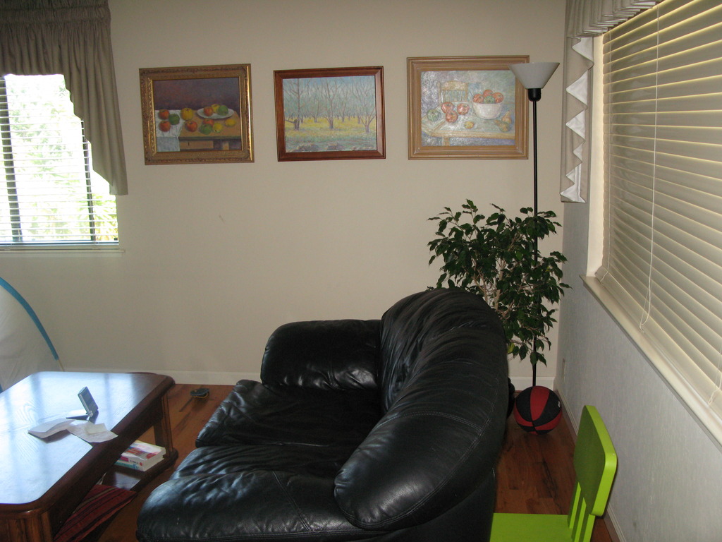 Main image