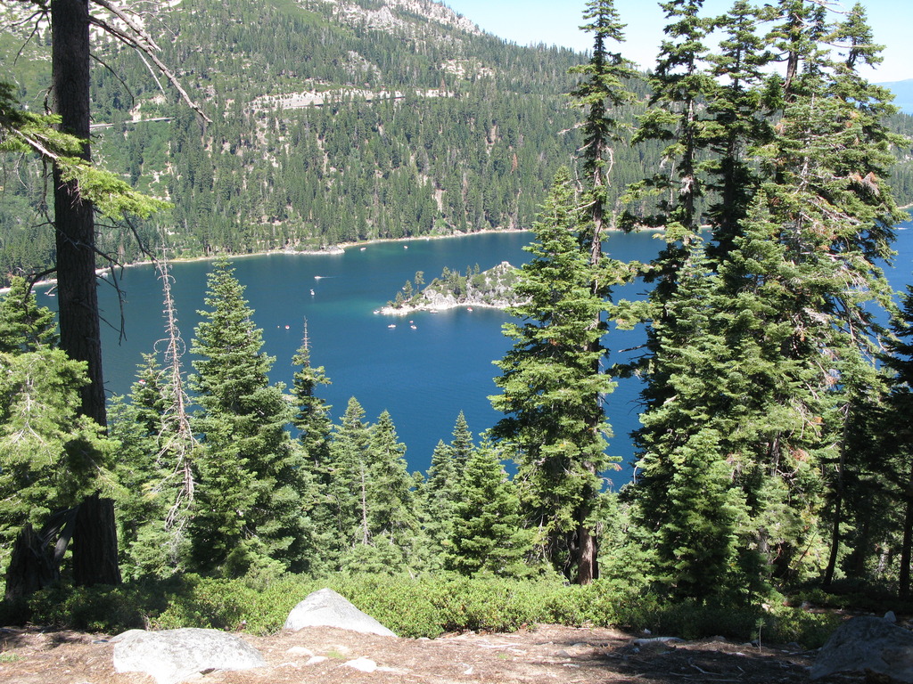 Main image