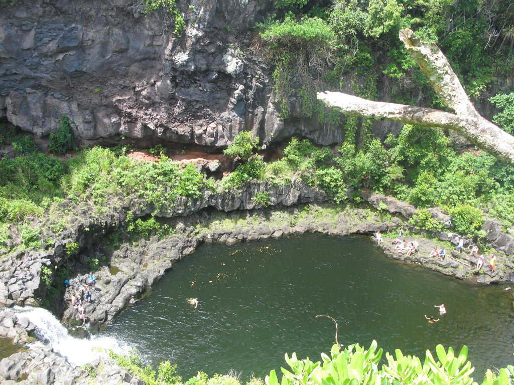 Main image