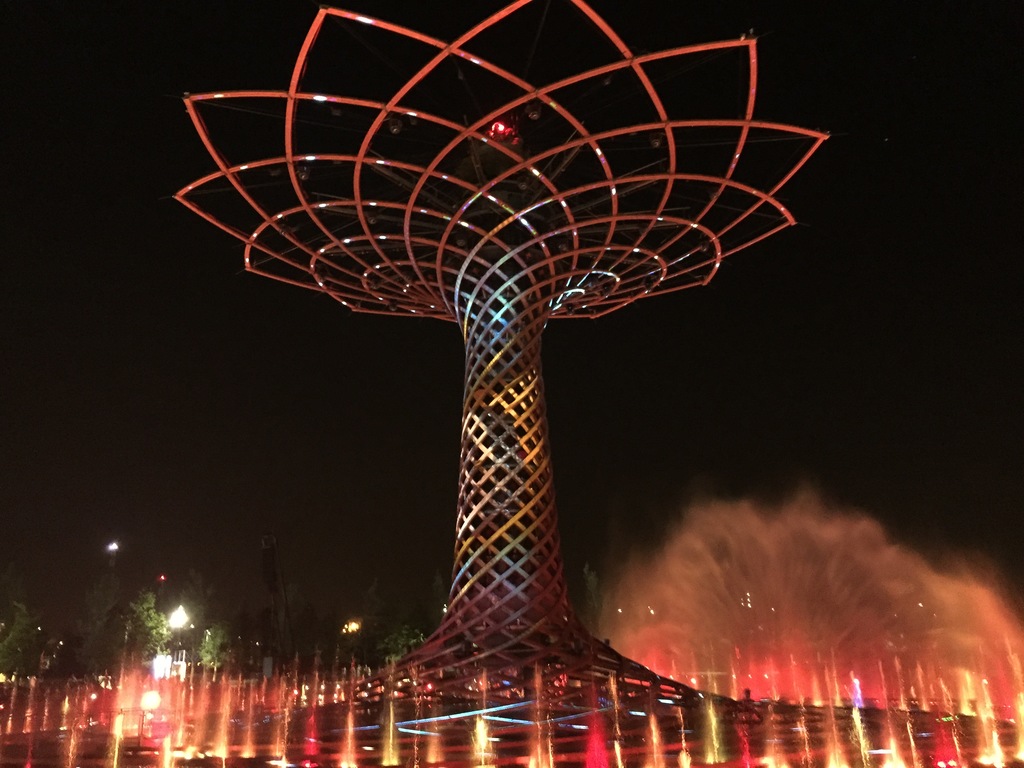 Main image