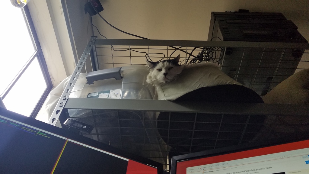 Main image
